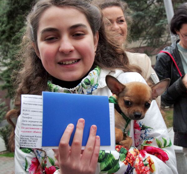 Cô bé Alina Zykova với chú cún giống Chihuahua  được bác Putin tặng năm 2016 - Sputnik Việt Nam