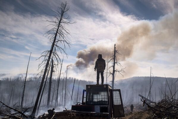 Dập đám cháy rừng tự nhiên ở Buryatia. - Sputnik Việt Nam