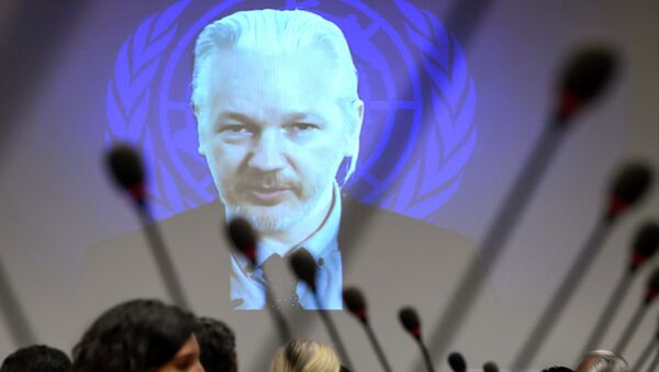 Người sáng lập WikiLeaks Julian Assange - Sputnik Việt Nam