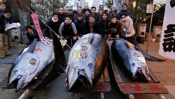 Голубой тунец весом 405 кг на рынке морепродуктов Цукидзи в Токио - Sputnik Việt Nam