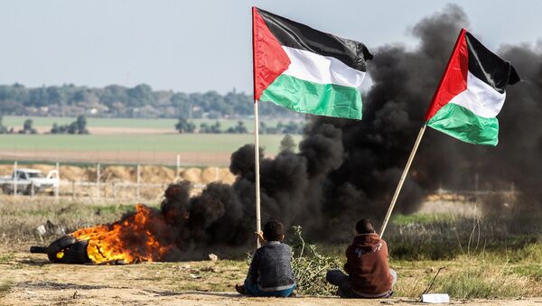 Người biểu tình Palestine mang lá cờ quốc gia ở ranh giới giữa Israel và Dải Gaza. - Sputnik Việt Nam