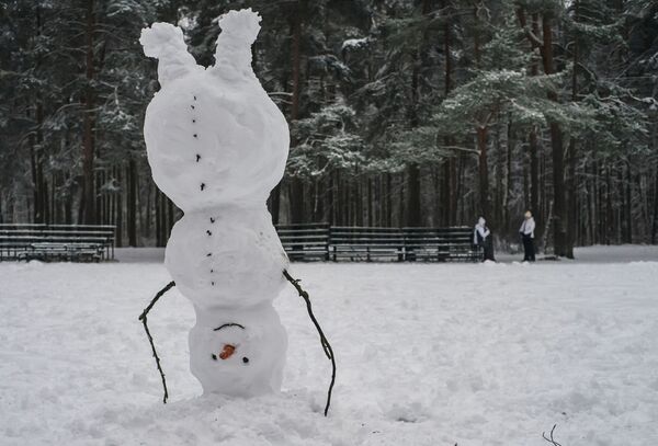 Người tuyết trong công viên Sosnovsky ở Saint-Peterburg - Sputnik Việt Nam