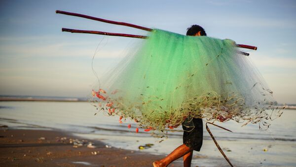 Ngư dân ven biển làng Kê Gà ở Việt Nam - Sputnik Việt Nam