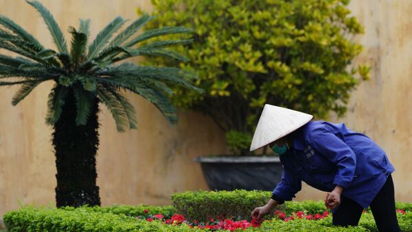 Người làm vườn trên thành Hà Nội - Sputnik Việt Nam