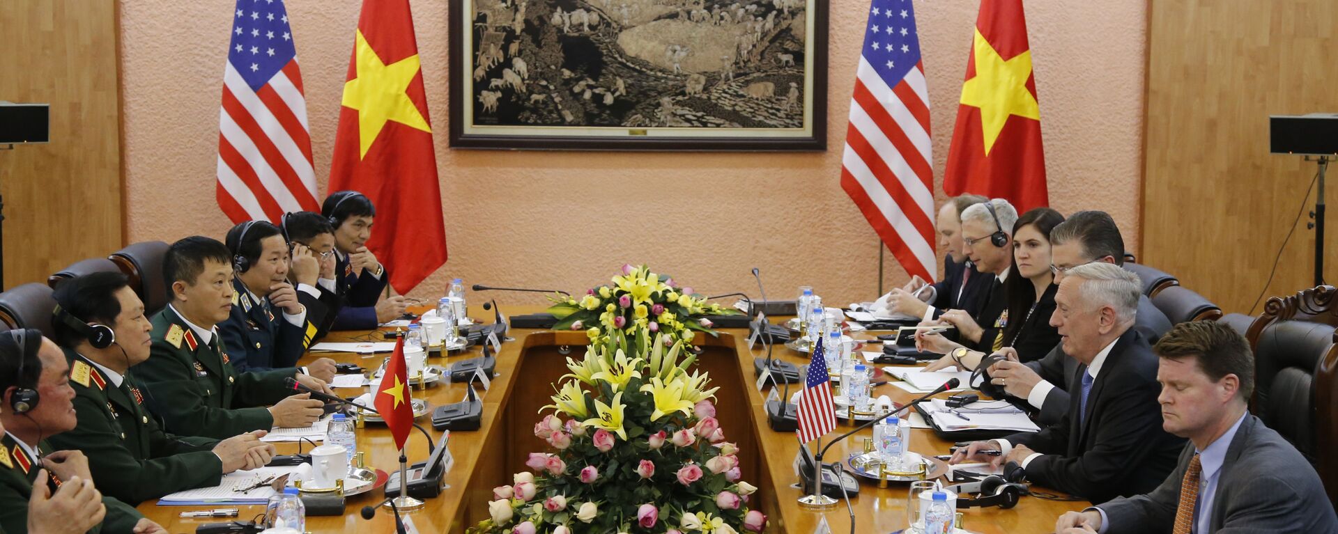 Bộ trưởng Quốc phòng Mỹ Jim Mattis và Bộ trưởng Quốc phòng Việt Nam Ngô Xuân Lịch trong cuộc họp tại Hà Nội - Sputnik Việt Nam, 1920, 27.01.2018