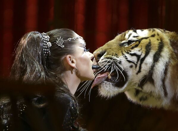 Nghệ sỹ dạy thú Carmen Zander cùng con hổ tại Liên hoan xiếc quốc tế ở Monaco - Sputnik Việt Nam