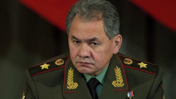Bộ trưởng Quốc phòng Nga, Tướng Sergei Shoigu - Sputnik Việt Nam