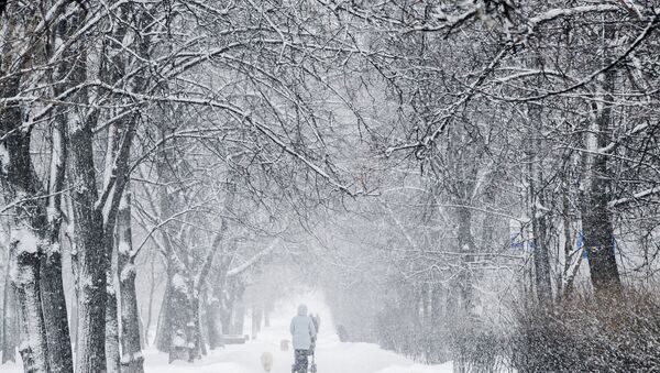 Tuyết rơi ở Moskva - Sputnik Việt Nam