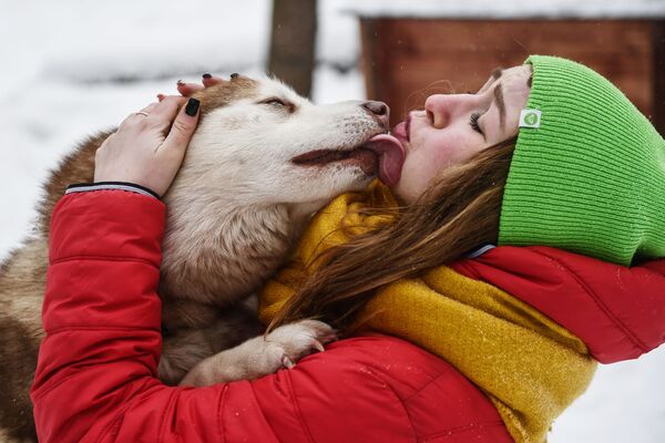Cô gái với con chó nòi Husky trong Công viên Sokolniki - Sputnik Việt Nam