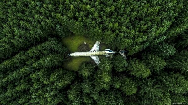 Bức ảnh «Plane in the Forest» (Máy bay trong rừng), Nhiếp ảnh gia Mark Calayag, một trong những người chiến thắng trong giải thưởng được ưa thích Popular Prize - Sputnik Việt Nam