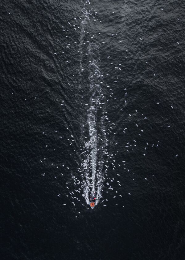 Tấm ảnh mòng biển bay trên thuyền với tên gọi «Comet Into Darkness» (Sao chổi trên bầu trời đêm), nhiếp ảnh gia Drone Hikers, giành giải nhì trong hạng mục Phong cảnh (dành cho nhiếp ảnh gia chuyên nghiệp). - Sputnik Việt Nam