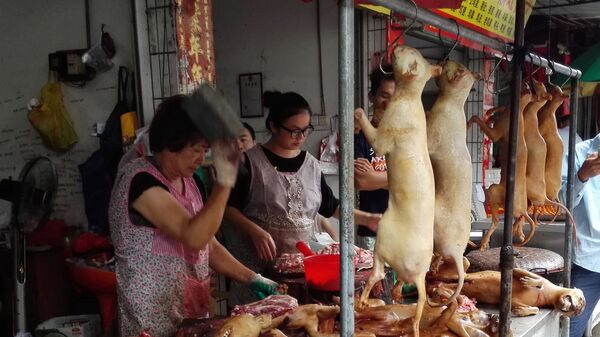 thịt chó Trung Quốc  - Sputnik Việt Nam