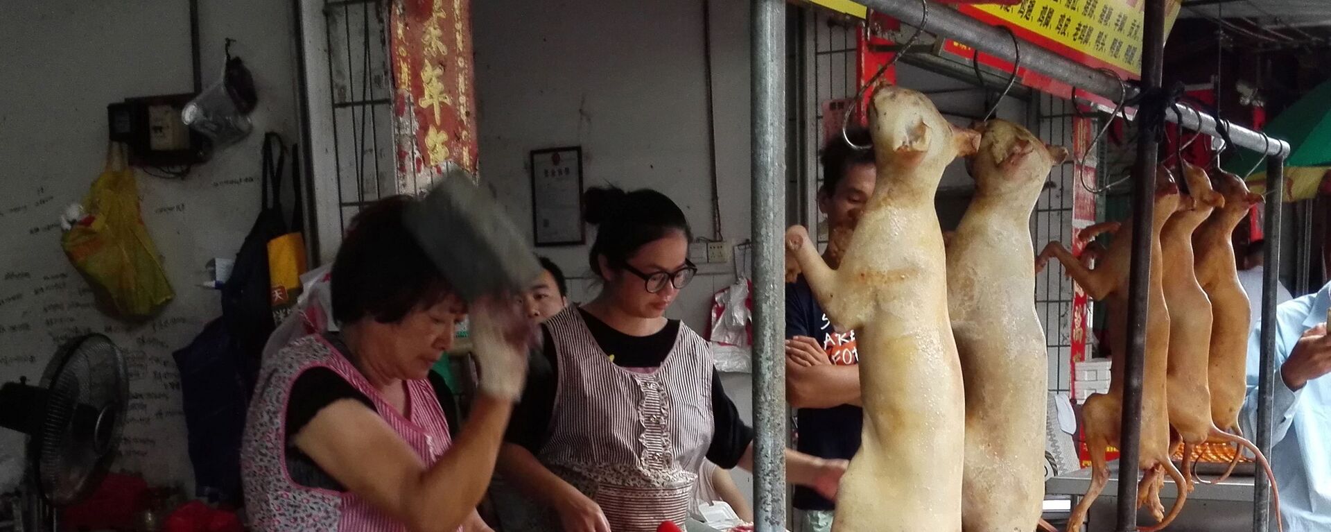 thịt chó Trung Quốc  - Sputnik Việt Nam, 1920, 20.12.2019