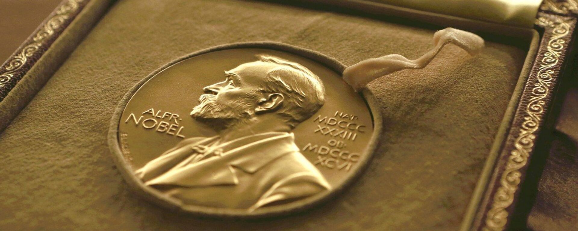 Giải Nobel - Sputnik Việt Nam, 1920, 07.10.2021