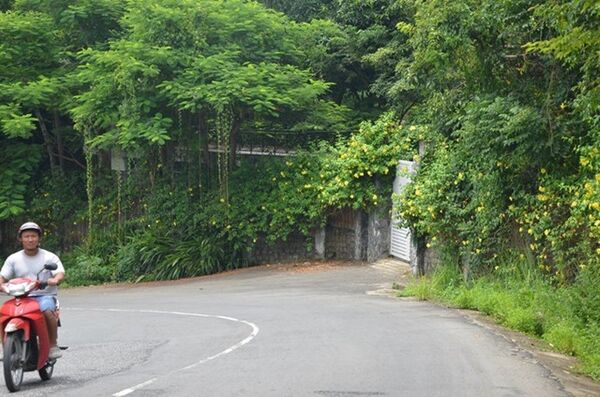 Việt Nam lãng phí hàng nghìn ha đất, trên 3.000 dự án chậm triển khai Việt Nam lãng phí hàng nghìn ha đất, trên 3.000 dự án chậm triển khai - Sputnik Việt Nam