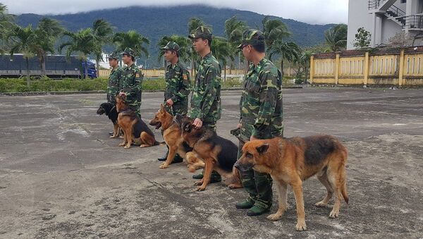 Những chú chó này được xem là vũ khí sống. - Sputnik Việt Nam