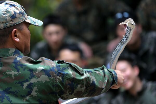 Huấn luyện viên Thái Lan cầm con rắn hổ mang ở bài học sinh tồn trong rừng - một phần của cuộc tập trận chung Cobra Gold 2018 ở Thái Lan - Sputnik Việt Nam