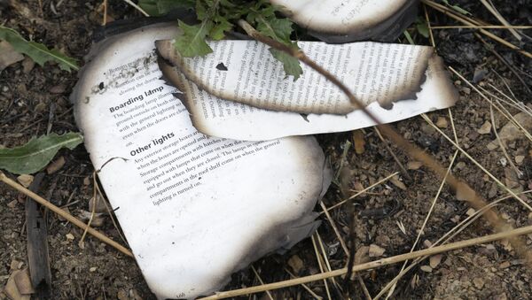Cuốn sách cháy tại hiện trường vụ chiếc Boeing của Malaysia rơi ở Ukraina - Sputnik Việt Nam