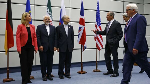 Các thành viên cuộc đàm phán về Iran tại Vienna - Sputnik Việt Nam