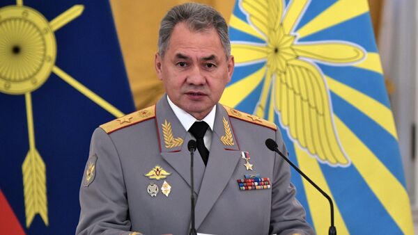 Người đứng đầu Bộ Quốc phòng Nga, Đại tướng Sergei Shoigu - Sputnik Việt Nam
