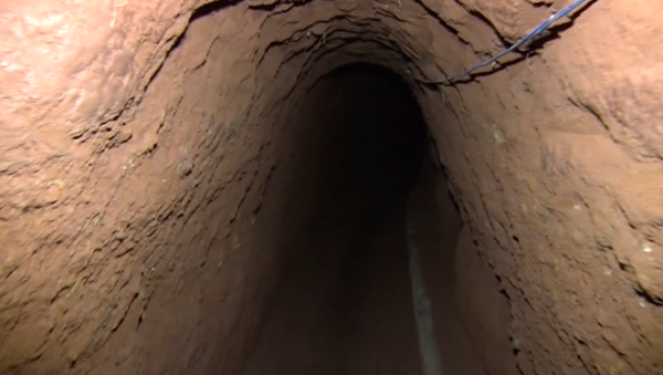 Phát hiện đường hầm đào vàng trong vườn chanh dây (Video) - Sputnik Việt Nam