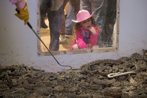 Cô bé xem rắn khoang trong khu triển lãm Nolan Coliseum ở Texas - Sputnik Việt Nam