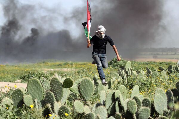 Người biểu tình Palestine chạy giữa cánh đồng xương rồng trong cuộc đụng độ với các lực lượng Israel gần thị trấn Khan Yunis trên biên giới giữa Israel và Dải Gaza - Sputnik Việt Nam