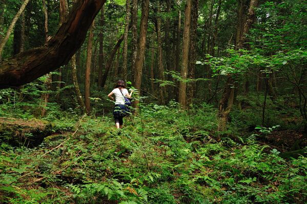 Rừng Aokigahara (Bình nguyên cây) hoặc Dzyukay (Biển cây) trải ra trên khoảng chân núi phía tây-bắc của ngọn Phú Sĩ ở Nhật Bản. Trong khu rừng này ngự trị sự u tịch đến đáng sợ, cây mọc dày đặc không cho phép tia nắng mặt trời thâm nhập vào vì vậy khắp Aokigahara luôn chìm trong bóng tối bí hiểm. Từng có tiếng đồn rằng đây là khu rừng có nhiều vụ tự vẫn. Trên lối mòn ở rừng Aokigahara có những tấm biển mang thông điệp ngăn ngừa tự sát như: Mạng sống là điều quý báu mà cha mẹ đã trao cho bạn hoặc ghi số điện thoại trợ giúp. - Sputnik Việt Nam