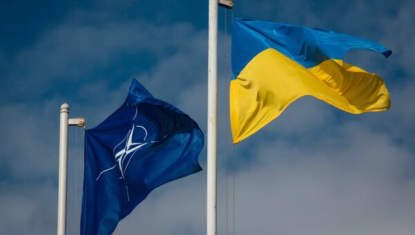 National flag of Ukraine and the NATO flag - Sputnik Việt Nam