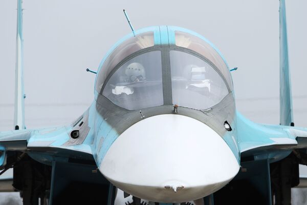 Mỏ vịt - chi tiết đặc trưng bên ngoài của Su-34. - Sputnik Việt Nam