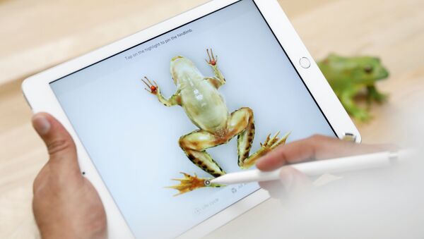 máy tính bảng iPad phiên bản mới với màn hình 9,7 inch - Sputnik Việt Nam