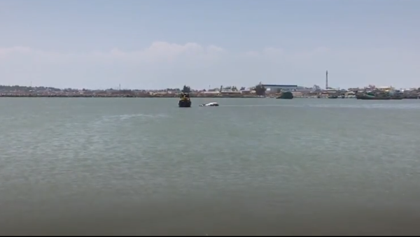 Ngư dân Việt an táng cá voi nặng 2,5 tấn (Video) - Sputnik Việt Nam