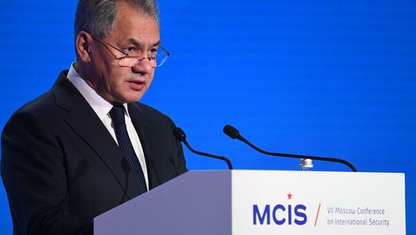 Bộ trưởng Quốc phòng Nga, Đại tướng Sergei Shoigu - Sputnik Việt Nam