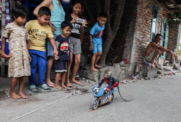 Khỉ cưỡi xe mô tô đồ chơi biểu diễn trước khán giả trẻ em ở Bắc Sumatra, Indonesia - Sputnik Việt Nam