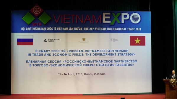 Phiên họp toàn thể theo chủ đề Quan hệ đối tác Nga-Việt trong lĩnh vực thương mại-kinh tế: Chiến lược phát triển. - Sputnik Việt Nam