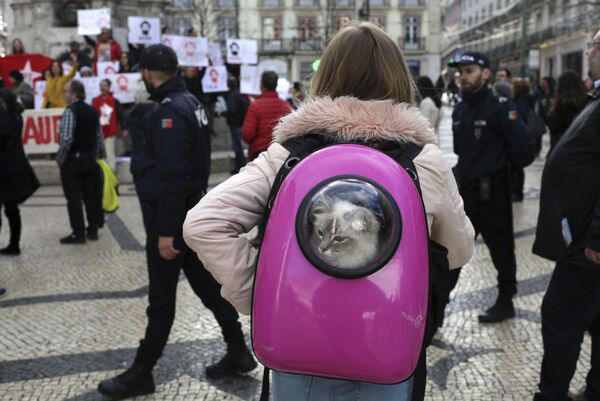 Cô gái với một con mèo trong ba lô trong bối cảnh cuộc biểu tình ủng hộ cựu Tổng thống Brasil Luiz Inácio Lula da Silva ở Lisbon - Sputnik Việt Nam