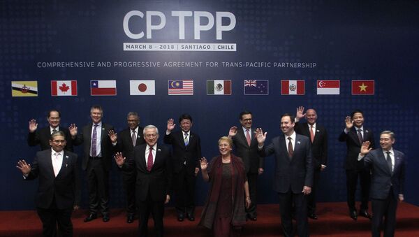 Официальная фотография участников Транстихоокеанского партнерства в Сантьяго, Чили - Sputnik Việt Nam