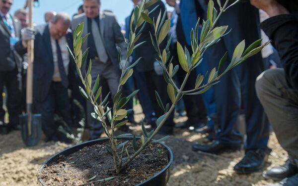 Đường cây ô liu kỷ niệm tình hữu nghị Nga-Syria được trồng ở Yalta - Sputnik Việt Nam