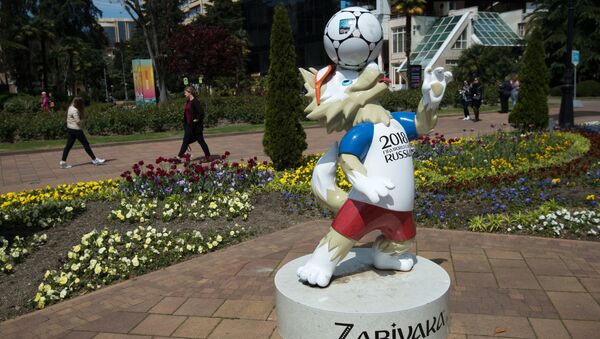 Tượng linh vật Zabivaka của World Cup 2018 ở Sochi - Sputnik Việt Nam