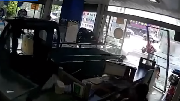Video: Con chó lái xe tải lao vào tủ kính cửa hàng - Sputnik Việt Nam