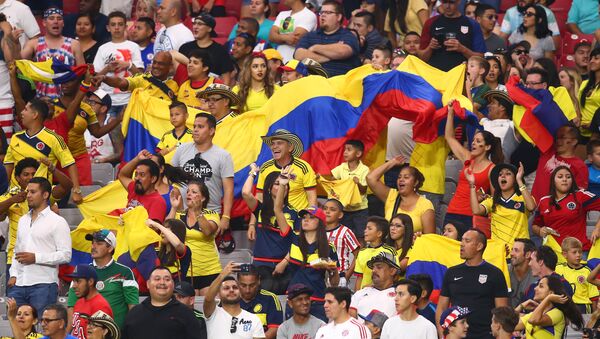 Hinchas de Colombia durante un partido de la Copa America Centenario - Sputnik Việt Nam