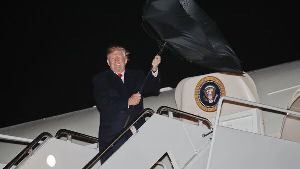 Tổng thống Mỹ Donald Trump với chiếc ô - Sputnik Việt Nam