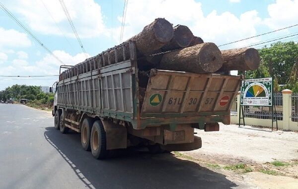 Xe gỗ lậu của Phượng râu bị Bộ Công an bắt giữ tại huyện Cư Jút (Đắk Nông) Xe gỗ lậu của Phượng râu bị Bộ Công an bắt giữ tại huyện Cư Jút (Đắk Nông) - Sputnik Việt Nam