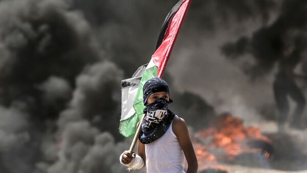 Người biểu tình Palestine trong cuộc đụng độ với binh sĩ Israel trên biên giới Dải Gaza và Israel - Sputnik Việt Nam