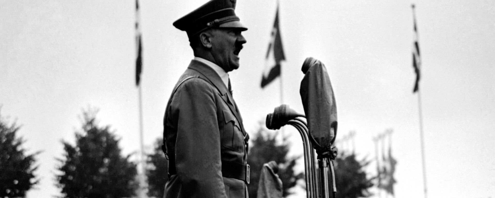 Adolf Hitler - Sputnik Việt Nam, 1920, 08.07.2021