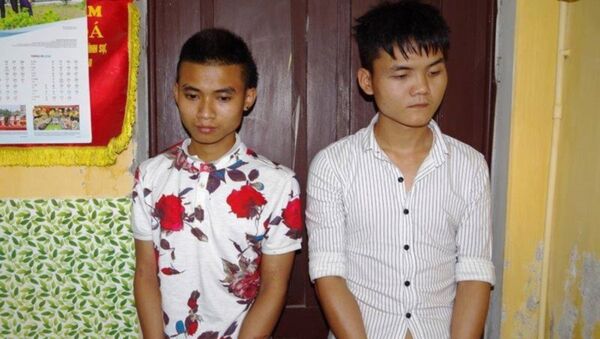 Hai nghi phạm gây ra vụ cướp. - Sputnik Việt Nam