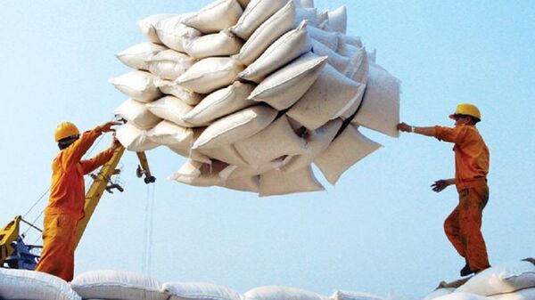 Nguyên nhân các doanh nghiệp Việt Nam bỏ giá cao hơn các doanh nghiệp Thái Lan là vì, tại thời điểm ngày 22/5, giá gạo Việt Nam loại 5% tấm là 460 USD/tấn, loại 25% tấm là 445 USD/tấn. Nguyên nhân các doanh nghiệp Việt Nam bỏ giá cao hơn các doanh nghiệp Thái Lan là vì, tại thời điểm ngày 22/5, giá gạo Việt Nam loại 5% tấm là 460 USD/tấn, loại 25% tấm là 445 USD/tấn. - Sputnik Việt Nam