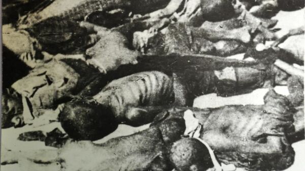 Nạn đói ở Việt Nam vào năm 1945 - Sputnik Việt Nam