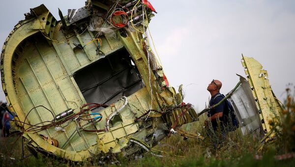 tai nạn máy bay MH17 - Sputnik Việt Nam