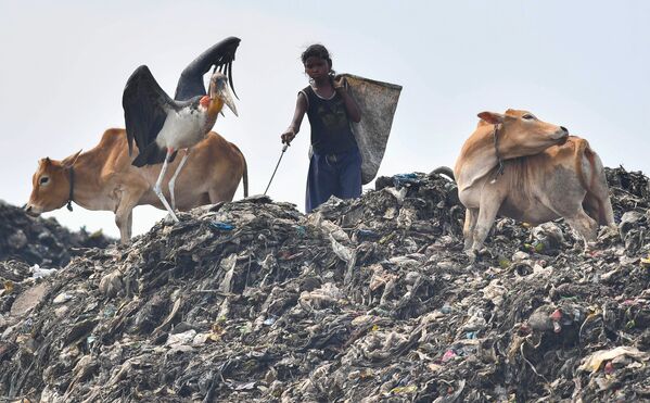 Bé gái tìm kiếm những thứ có thể tái chế trong núi rác ở Guwahati, Ấn Độ - Sputnik Việt Nam